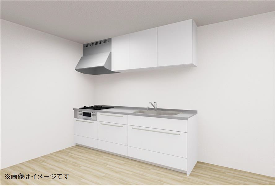 Nibv VXeLb` XefBAV[Y I^ XCh[v Ԍ255cm H@Ȃ