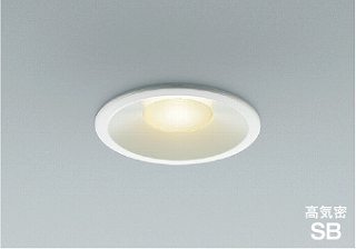 RCY~ LED_ECg AD1091W27