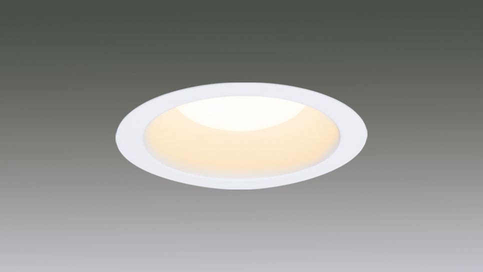 ACXI[} CSB`LED_ECg LSB100-06SNLDCAW-V3 