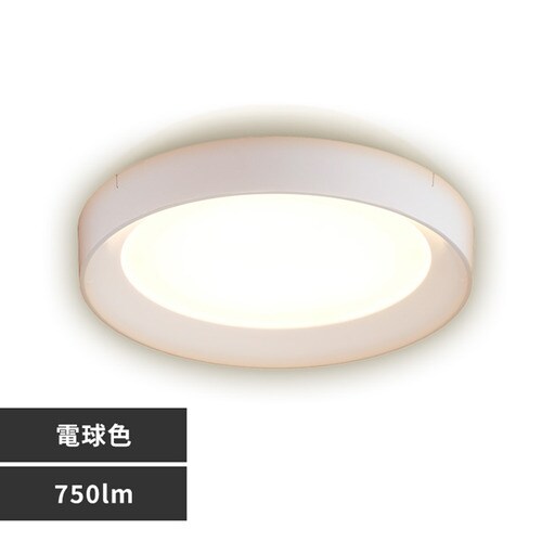 ACXI[} ^^V[OCg t[^Cv 750lm dF SCL75L-DU