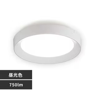 ACXI[} ^^V[OCg t[^Cv 750lm F SCL75D-DU