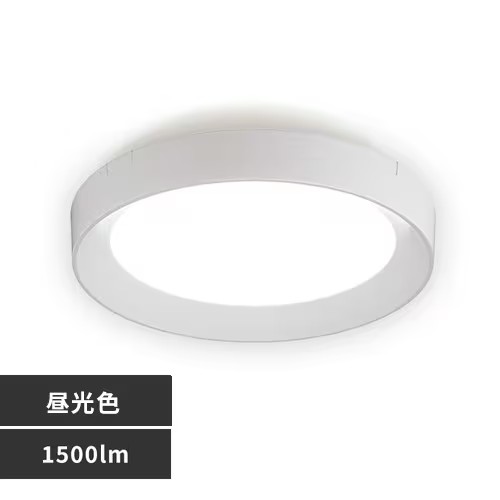 ACXI[} ^^V[OCg t[^Cv 1500lm F SCL150D-DU