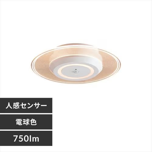 ACXI[} ^V[OCg  750lm lZT[t dF SCL-75LMS-LGP