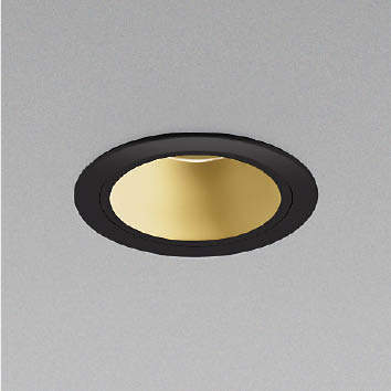 RCY~ LED_ECg AD92093L
