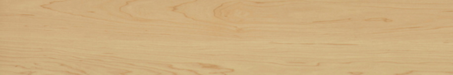 PHOTO2