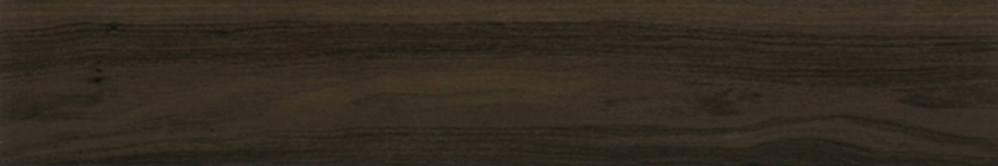 PHOTO2