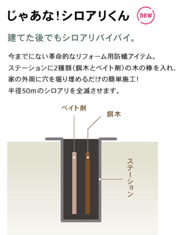 PHOTO3