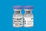 �q�g�b�q�g�Ò��p�P�O�O�ʂ��u�j�v���v1�r 1mL(�n)�t�i�j�v���j