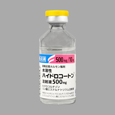 水溶性ハイドロコートン注射液500mg10mL×5瓶(日医工)
