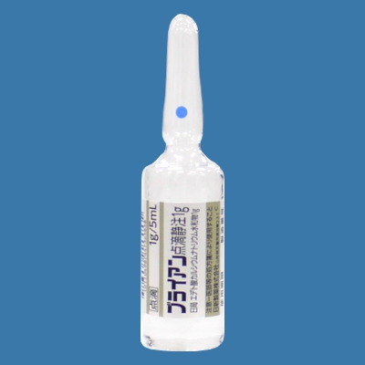 ブライアン点滴静注1g 10管 (日新製薬)