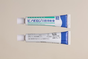 ヒノポロン口腔用軟膏 5g×10本 (ジーシー昭和薬品)