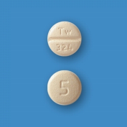 ゾルピデム酒石酸塩錠5mg「トーワ」500錠(バラ)(東和薬品)