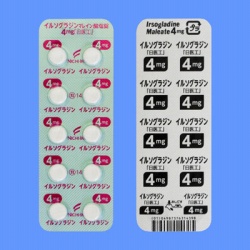 イルソグラジンマレイン酸塩錠4mg「日医工」100錠(日医工)