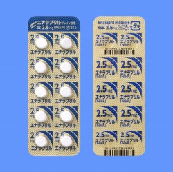 エナラプリルマレイン酸塩錠2.5mg「NikP」100錠(日医工)