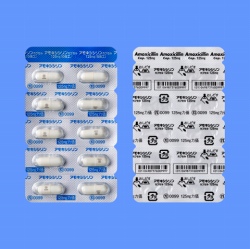 �A���L�V�V�����J�v�Z��125mg�u����H�v100�J�v�Z��(����H)
