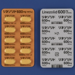 l]h600mguTCv10(䐻)