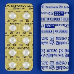 �J���{�V�X�e�C����250mg�u�T���C�v 100�� (��䐻��)