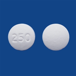 �J���{�V�X�e�C����250mg�u�c���n���v 1200��(�o��) (�ߌ�����)