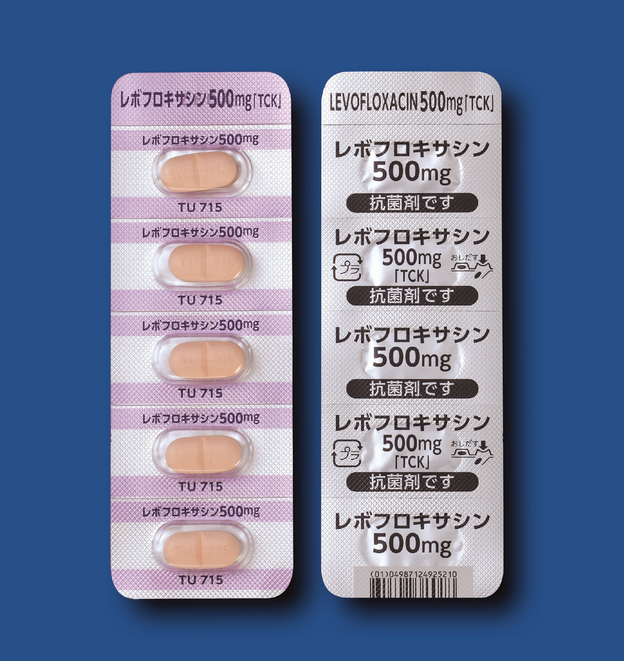 ���{�t���L�T�V����500mg�uTCK�v 100��(�t�F���[���t�@�[�})