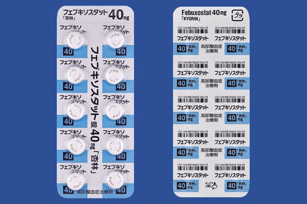 tFuL\X^bg40mguǗсv 100(Ǘѐ)