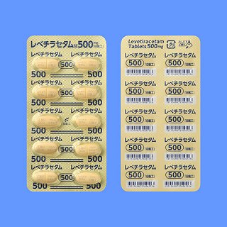 レベチラセタム錠500mg「日医工」 100錠(日医工)