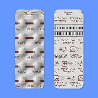 �A���v���m�[�����T�O�����u�m�h�f�v�P�O�O���i�o�s�o�j�i����H�j