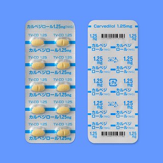 �J���x�W���[�����P�D�Q�T�����u�m�h�f�v�P�O�O���i�o�s�o�j�i����H�j