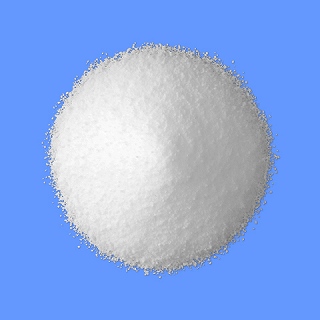 �P�g�`�t�F���h���C�V���b�v�O�D�P���u�m�h�f�v�P�O�O���~�P�r�i�o���j�i����H�j