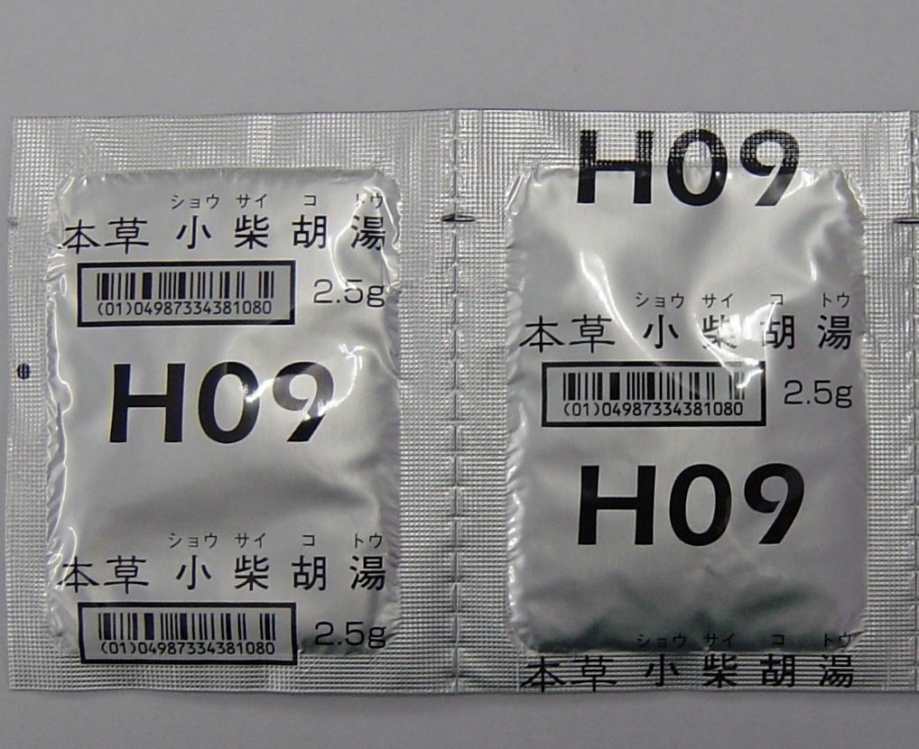 H09�F�{�� ���Čӓ��G�L�X����-M ���� 2.5g�~42��(�{������)