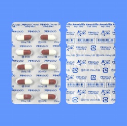 アモキシシリンカプセル250mg「日医工」 100カプセル (日医工)