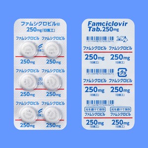 �t�@���V�N���r����250mg�u����H�v 42�� (����H)
