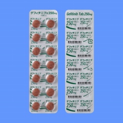 ゲフィチニブ錠250mg「日医工」14錠(日医工)