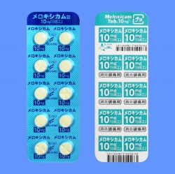 メロキシカム錠10mg「日医工」100錠(日医工)