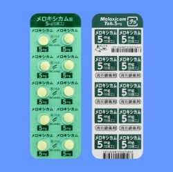 メロキシカム錠5mg「日医工」100錠(日医工)