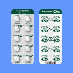 アレンドロン酸錠5mg「日医工」 100錠 (日医工)