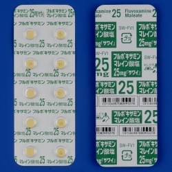 t{LT~}C_25mguTCv 500 (䐻)