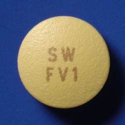 t{LT~}C_25mguTCv 500(o) (䐻)