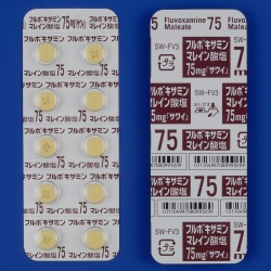 t{LT~}C_75mguTCv 100 (䐻)