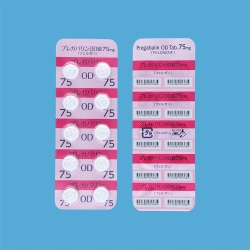 vKoOD75mgutF[v100 (tF[t@[})
