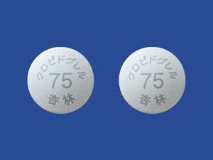 NshO75mguǗсv 500(o) (Ǘѐ)