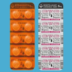 モンテルカストチュアブル錠5mg「DSEP」 100錠 (第一三共)