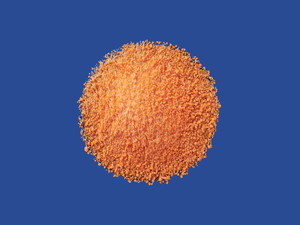 {Z`W_DS0.5%uǗсv 100g(o) (Ǘѐ)