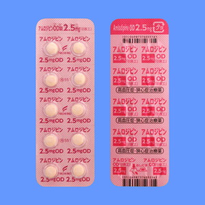アムロジピンOD錠2.5mg「日医工」 100錠 (日医工)