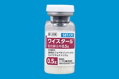ワイスタール配合静注用0.5g10瓶(ニプロ)