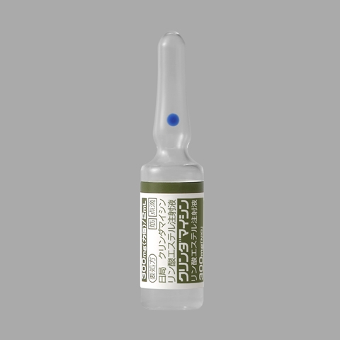 �N�����_�}�C�V�������_�G�X�e�����ˉt300mg�NIG�10��(����H)