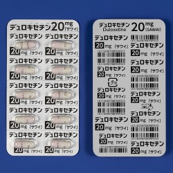 fLZ`JvZ20mguTCv 500JvZ(䐻)