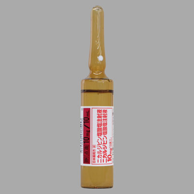 �j�J���W�s�����_�����ˉt10mg�����H�10��(����H)
