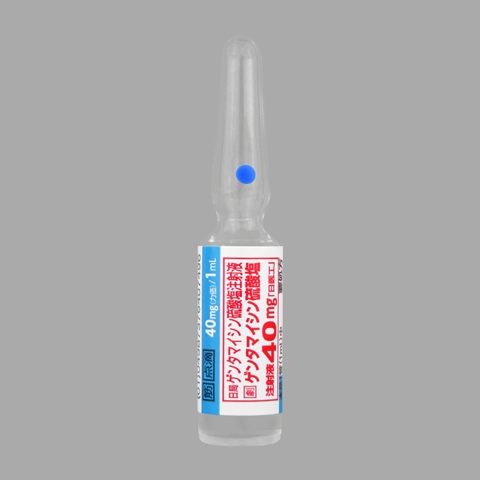 ゲンタマイシン硫酸塩注射液40mg「日医工」10管(日医工)