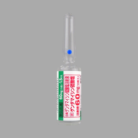 ゲンタマイシン硫酸塩注射液60mg「日医工」10管(日医工)
