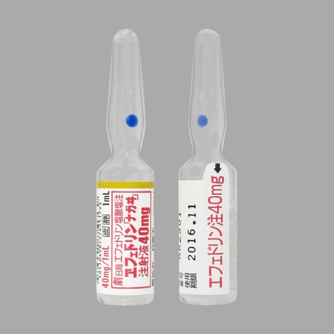���t�F�h������i�K������ˉt40mg10��(����H)